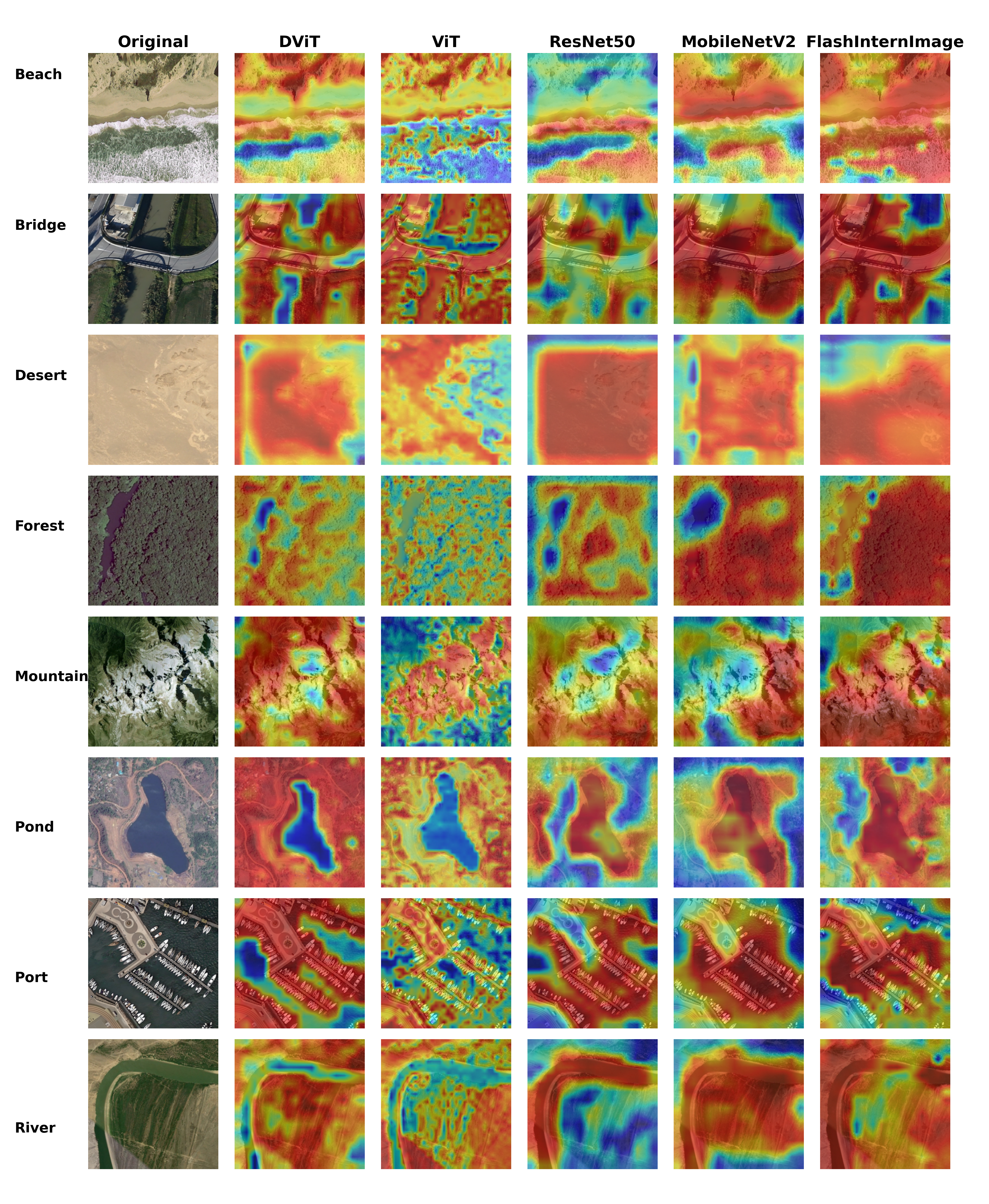 Model's attention to key areas of the images